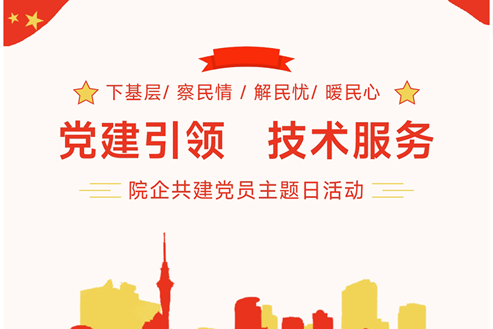 “黨建引領(lǐng)，技術(shù)服務(wù)”---院企共建黨員主題日活動